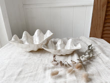 Load image into Gallery viewer, Beautiful Home Decor Calm Shell