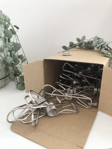 Eco stainless steel pegs large with box