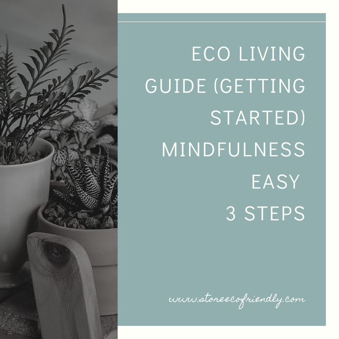 Eco Living Guide (Getting Started)